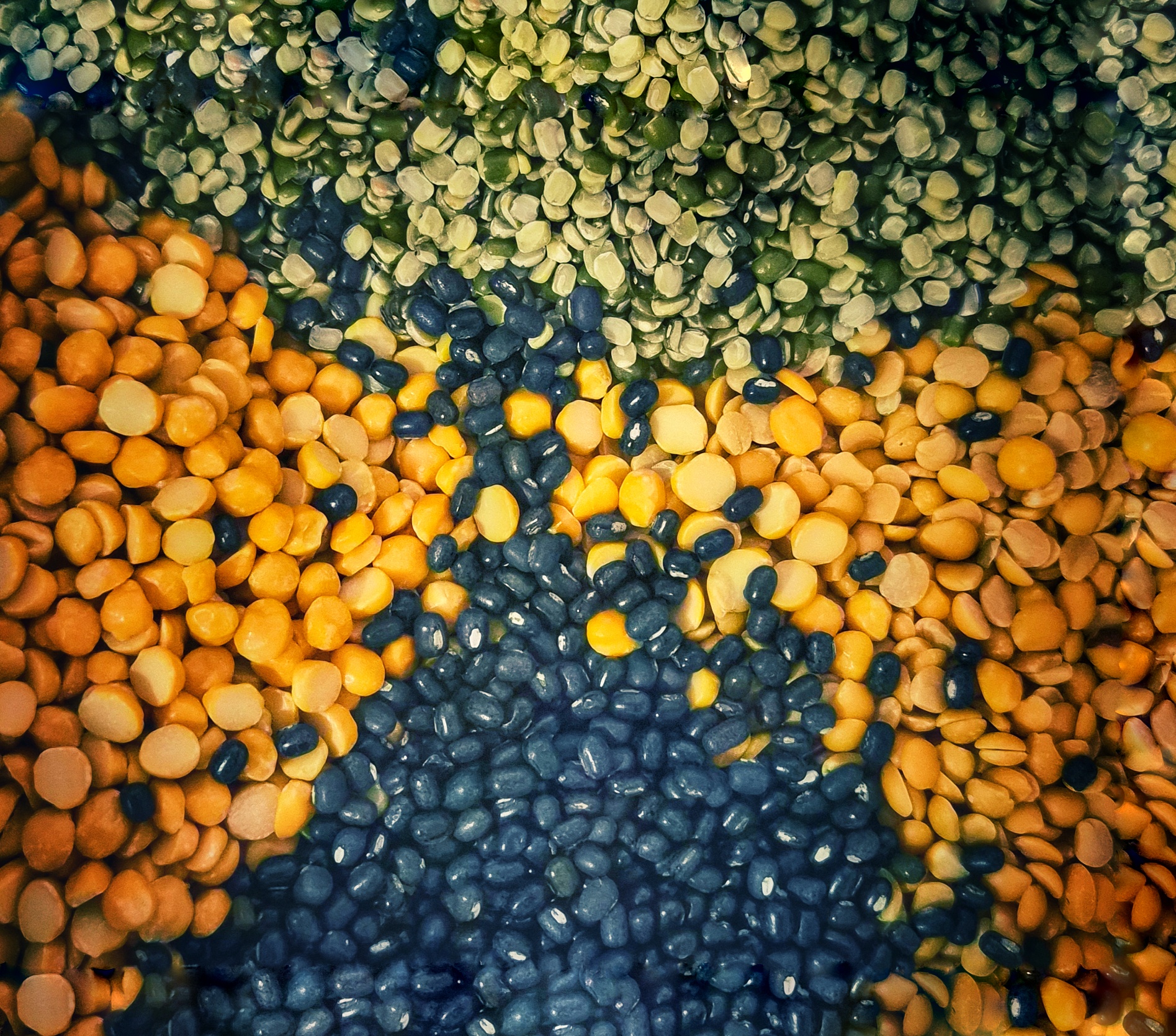 How Much Protein Do You Really Need? Quality Matters More Than Chasing Numbers